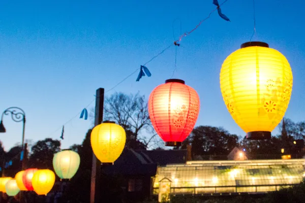 An image from an Illumination Night past