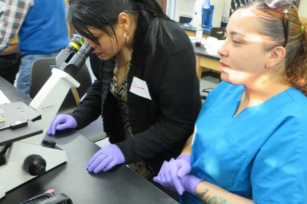Students from the adult literacy program at Holyoke Community College observe cancer cells in a lab at Smith. Photo by Tom Gralinski.