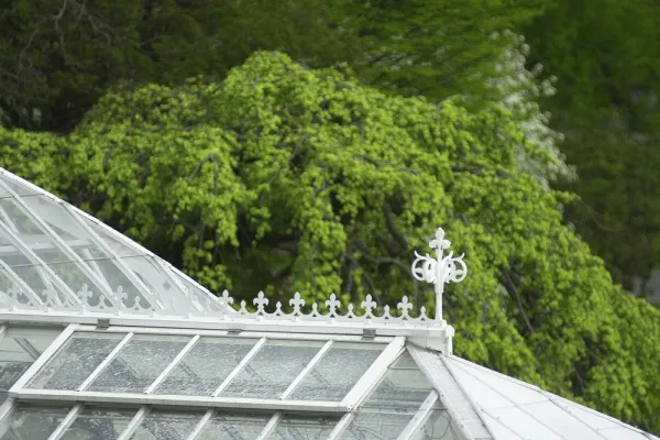 lyman greenhouse roof