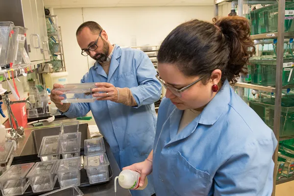 Associate professor Michael Barresi (left) is one of eight Smith faculty members who have received NSF Career grants since the program for early career faculty began in 1995.