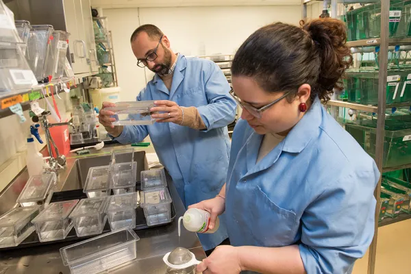 Professor Michael Barresi and graduate student Carla Velez work in a science lab