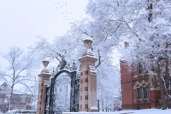 Winter shot of the Grecourt Gates