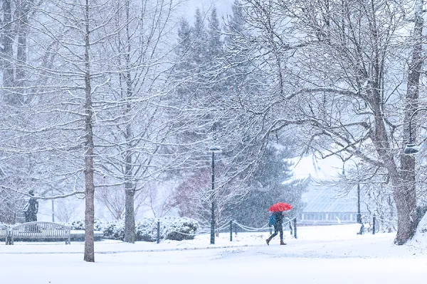 Student with a red umbrella walking in a snowstorm