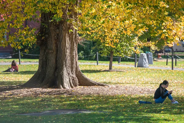 Student studying on a lawn