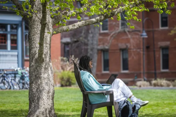 A student on a laptop under a tree