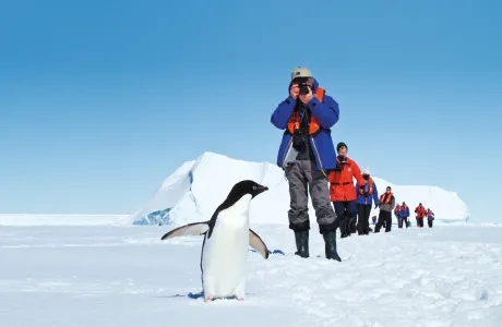 Tourists take photos of a penguin