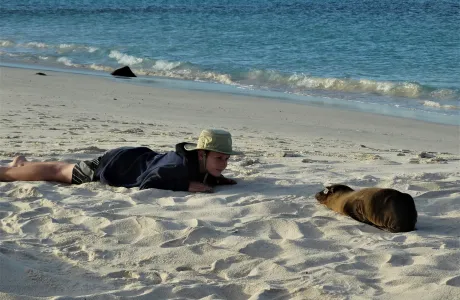 A person lying in the sand looking at a seal
