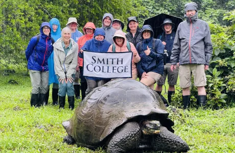 A group of people in raincoats holding a Smith College banner in the Galapagos, with a large tortoise in the foreground