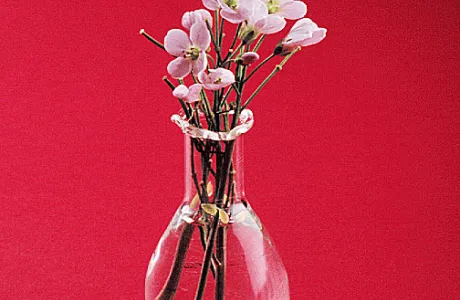 Delicate pink flowers in a clear vase