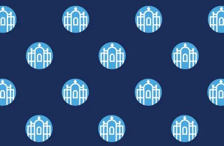 Zoom photo - informal seal on paradise background