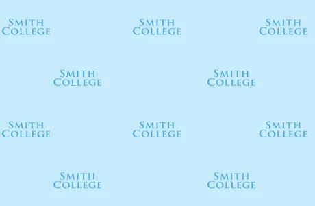 Zoom photo - Smith College wordmark on sky blue