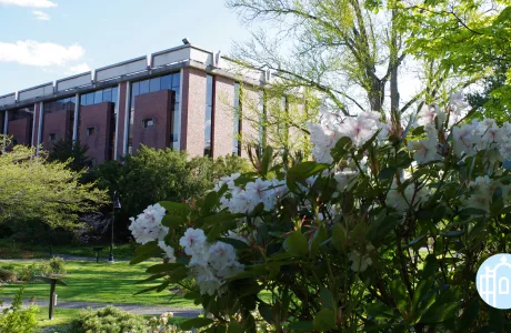 Zoom photo - Campus walkways in spring with flowers blooming