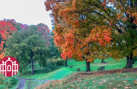 Photo of fall foliage and walking path on campus