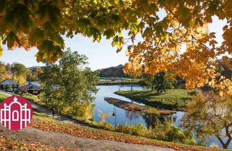 Photo of Paradise Pond