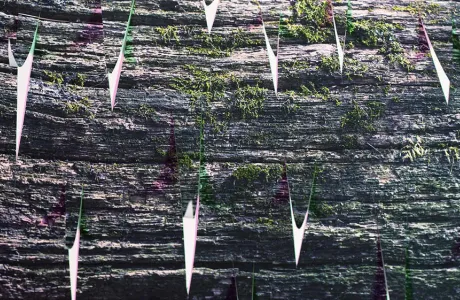 Spread from the artist’s book Natural Systems