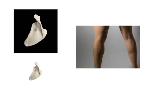 Spread from the artist’s book Anatomical Position