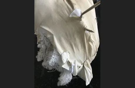 Art installation by Nicole Huang '22