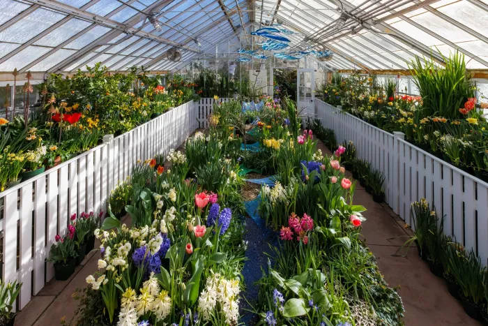 The 2023 spring bulb show