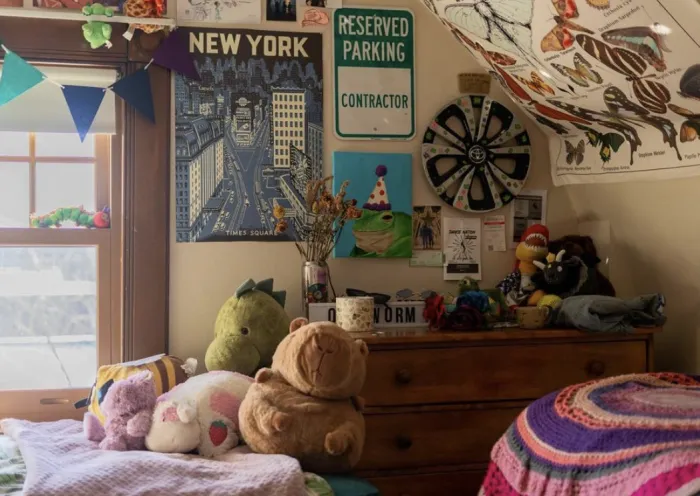 Decorations and plushies sitting on a student's bed.