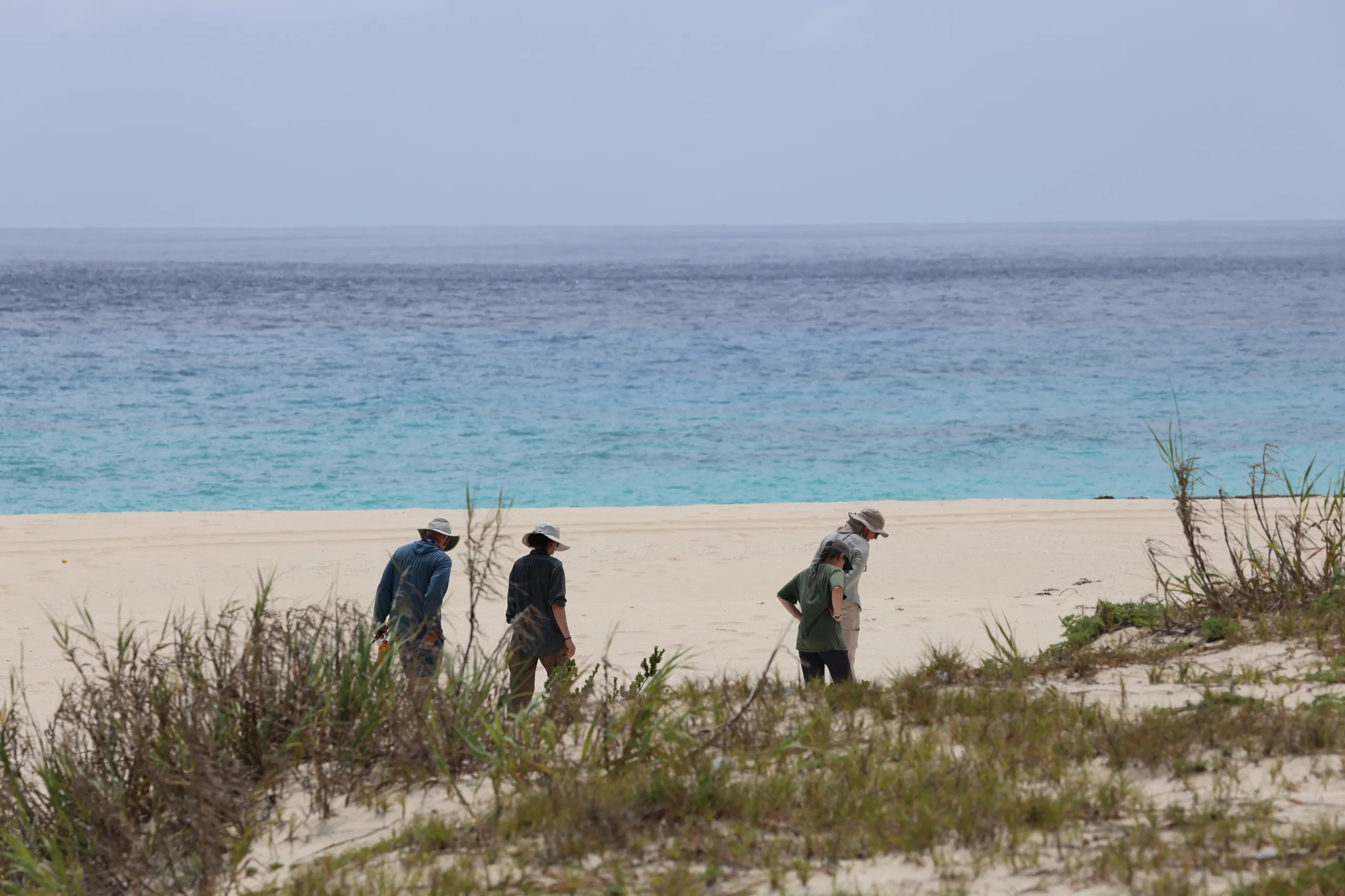 Four people wearing outdoor clothing and sun hats walk along a sandy beach near sparse coastal grassy vegetation. In the background, the ocean transitions from clear light-blue turquoise water near the shore to deeper dark-blue open sea under an overcast sky.