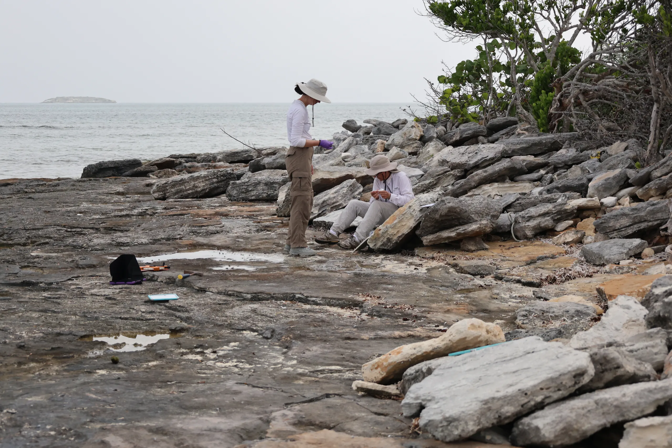 Two researchers wearing light-colored field clothes and wide-brimmed sun hats conduct work along a rocky, flat limestone coastline. One person stands wearing purple gloves, while the other sits leaning against large grey boulders examining a small object. Field equipment rests on the flat rock in the foreground, with calm ocean water and a small distant island visible under an overcast sky in the background.