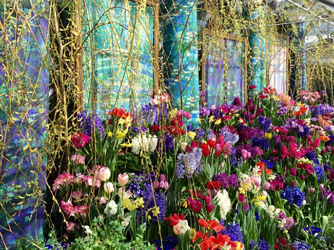 bulb show 2015 "A French Impression"