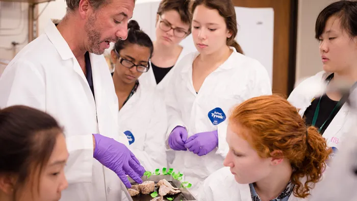 Young women gather to look at a brain during Smith College's summer science program