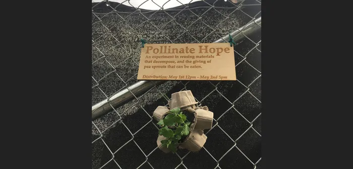 Art installation, "Pollinate Hope," by Angie Gregory '20