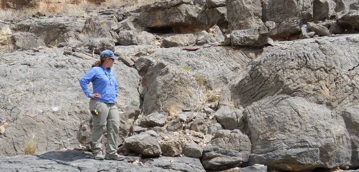 Professor Pruss in front of columnar stromatolites of the Edicaran Nama Group, southern Namibia