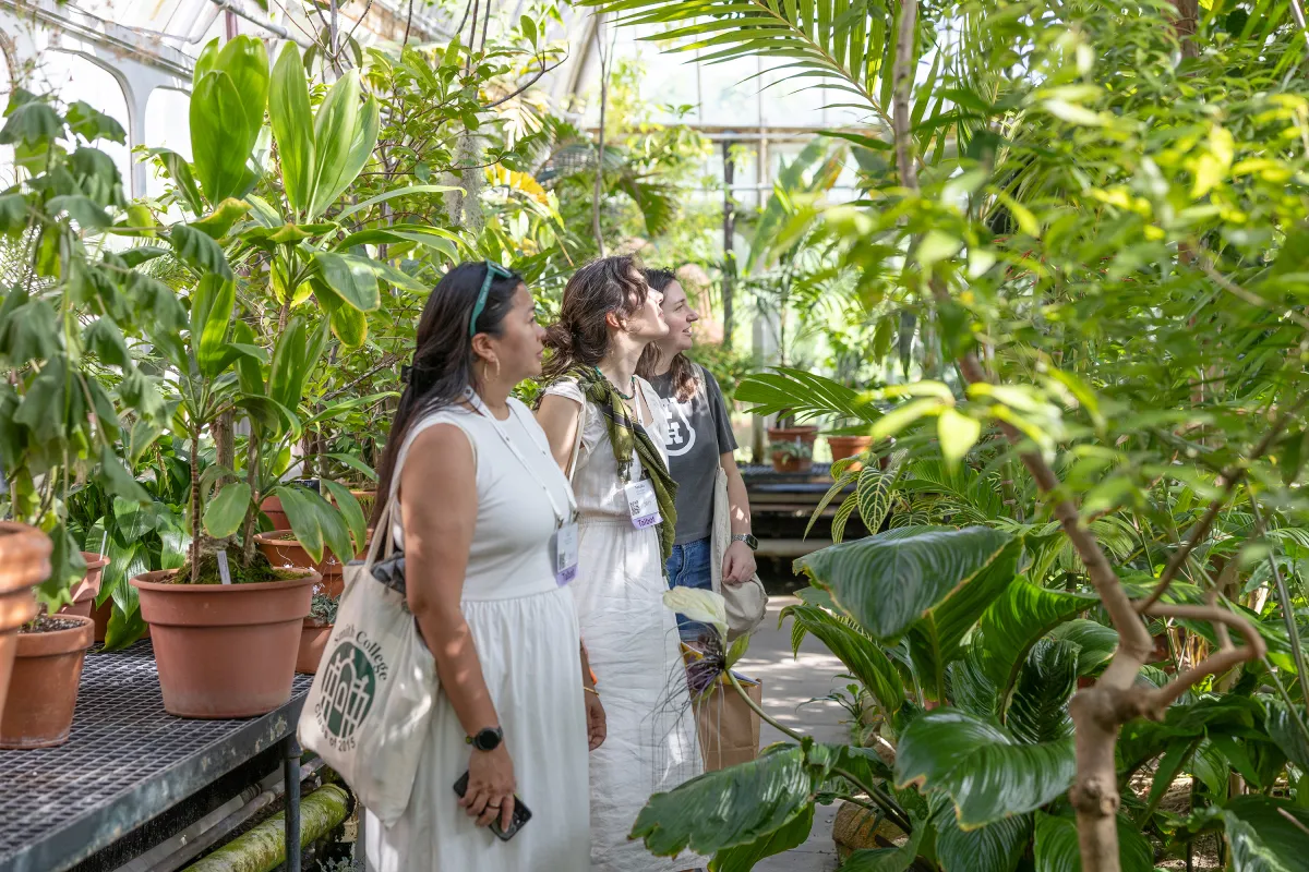 Alums from the class of 2015 look at plants in the Botanic Garden