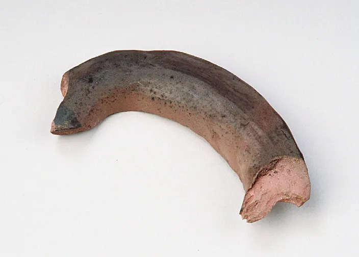 A curved, brown pottery shard with varying textures and a rough, broken edge