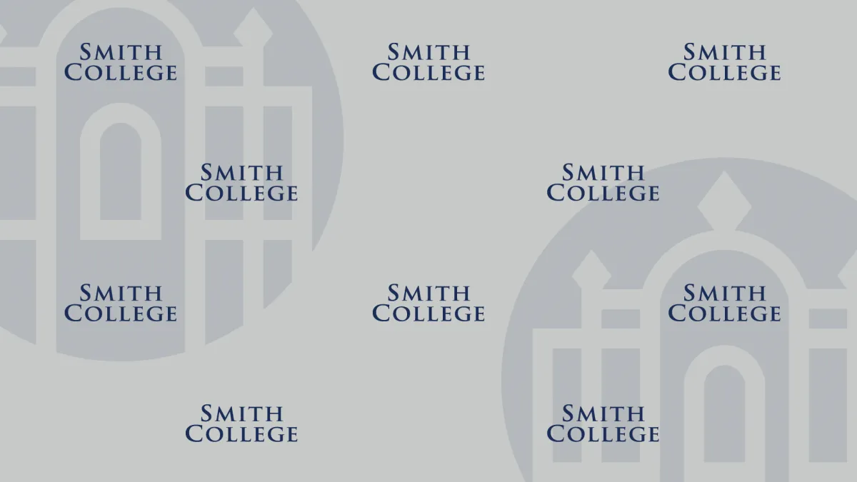 Zoom photo - wordmark and informal seal on gray