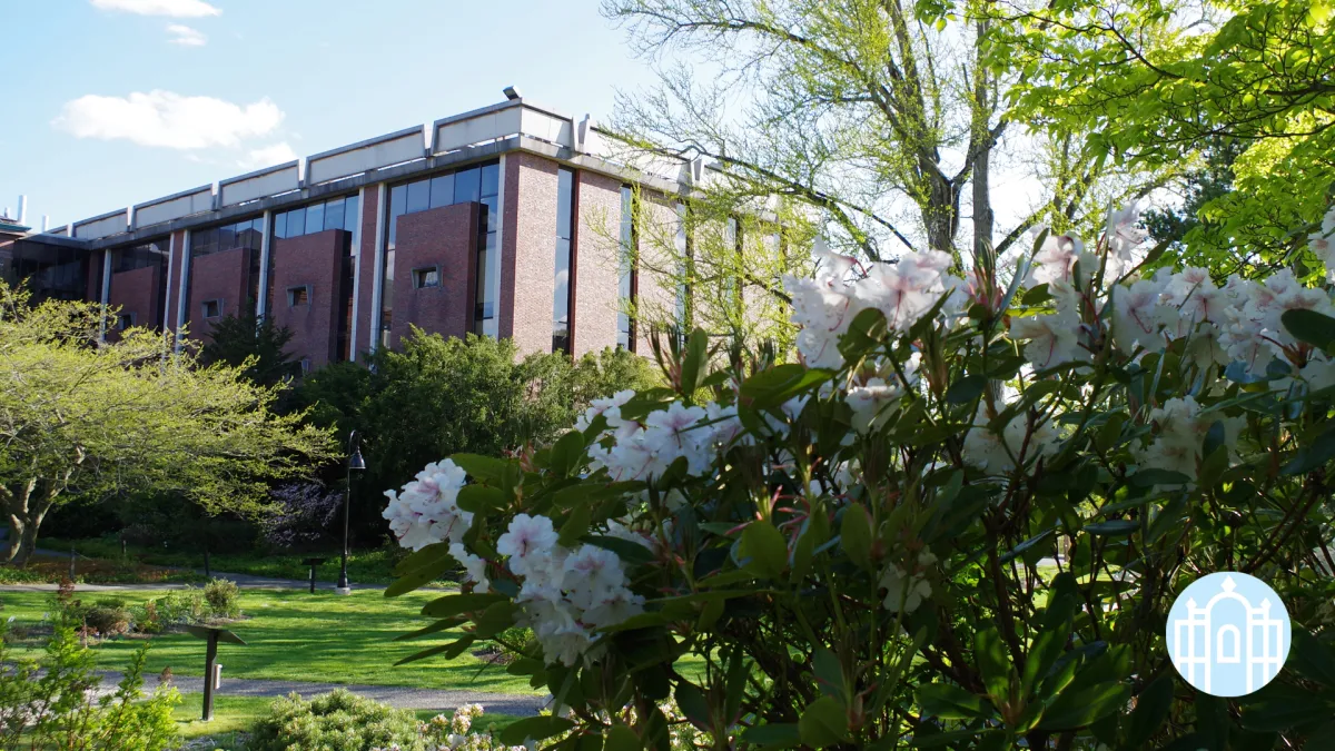 Zoom photo - Campus walkways in spring with flowers blooming