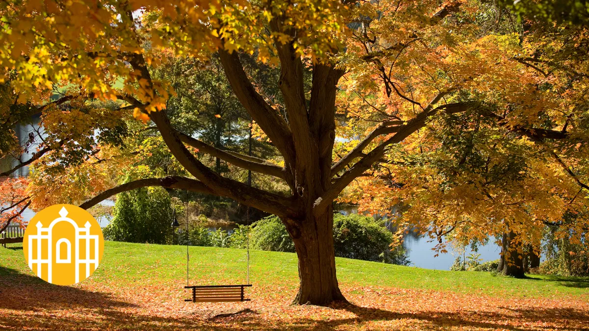 Photo of swing near Paradise Pond