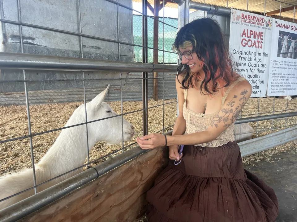 Lia Jacobs '24 feeding a white goat through a gate