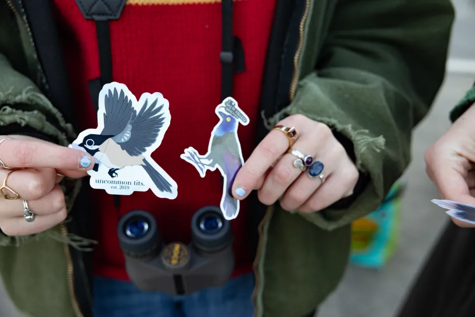 A student holds up two stickers of birds.