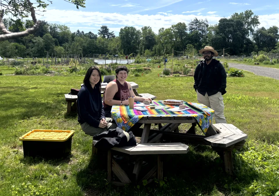 Efadul Huq and two research assistants sit at a table in a field.