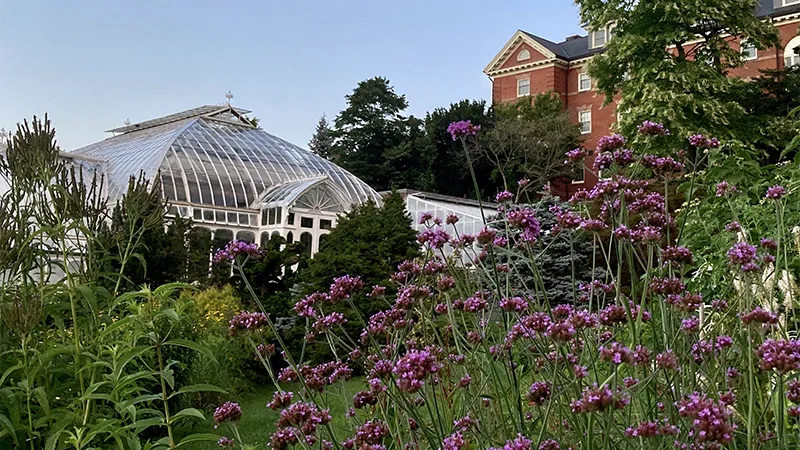 A photo of the Botanic Gardens in the summertime