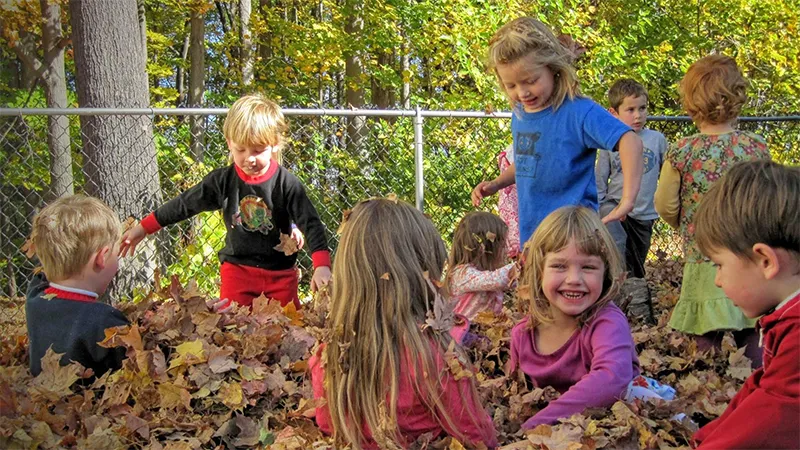 Group of preschoolers playing in a pile of leaves