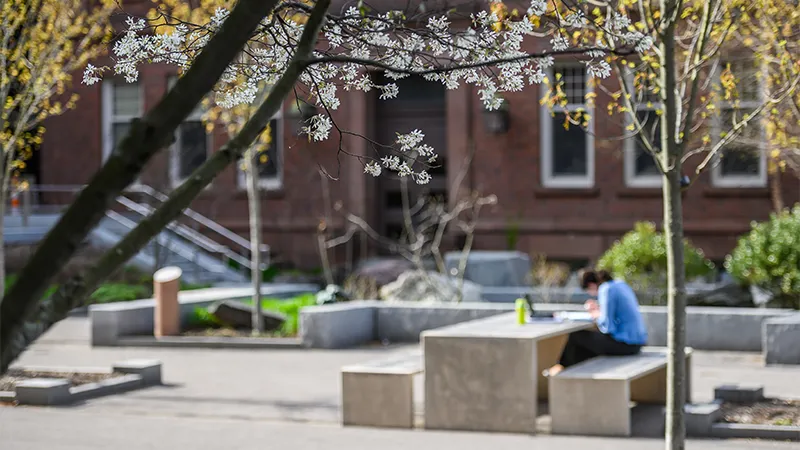 Smith campus in spring with a student studying outside