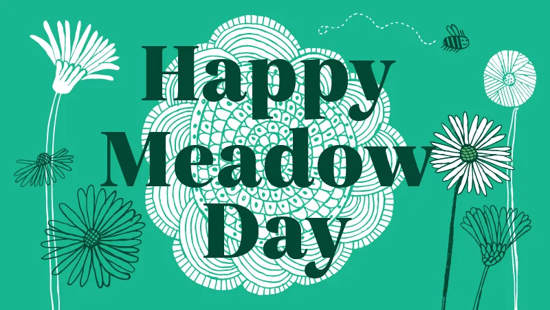 Happy Meadow Day