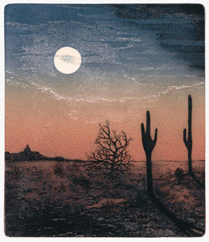 book cover Shirley Jones’ image of the Arizona landscape created after her first trip to the U.S. in 1983
