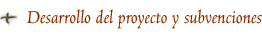 Desarrollo del proyecto y subvenciones